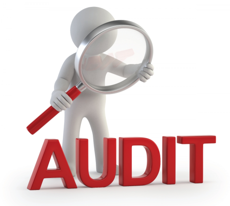 Les domaines d’audit