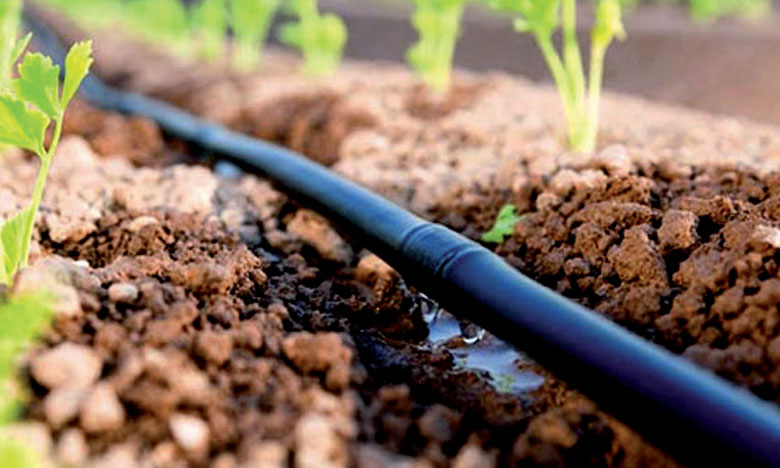EXONÉRATION DES PETITS AGRICULTEURS DE LA REDEVANCE RELATIVE AU MINIMUM DE CONSOMMATION DE L'EAU D'IRRIGATION